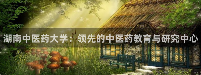 九游j9官网