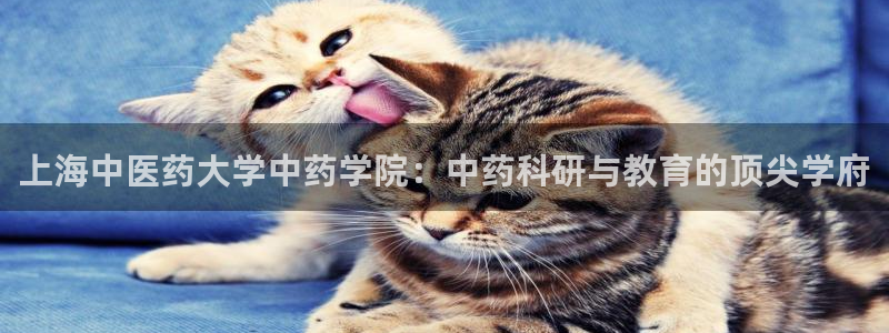 九游会集团官网