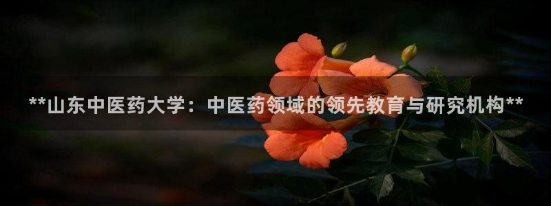 九游会员中心