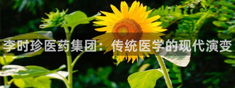 j9九游会