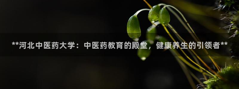 j9九游会合法吗