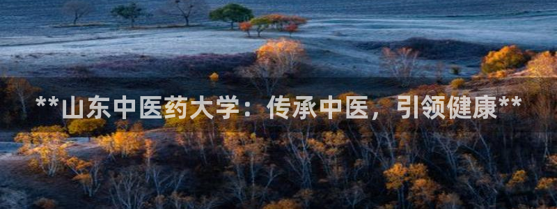 ag九游官网登录