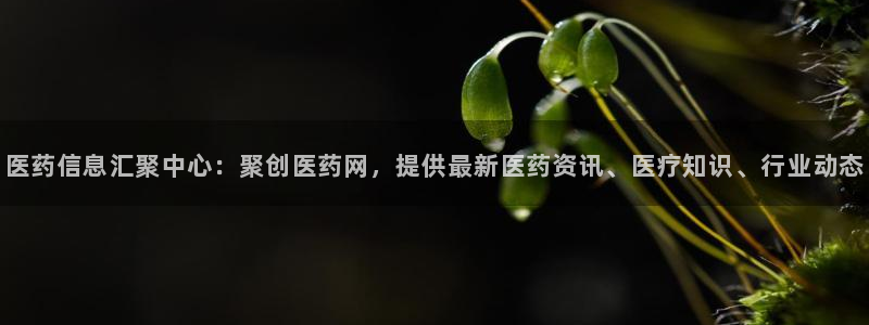 九游会中国j9 09.ag