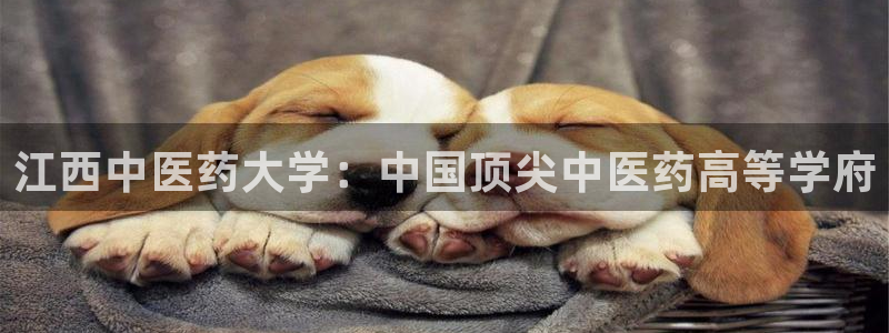 九游会俱乐部