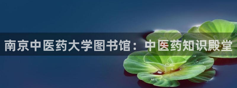 j9九游会官方登录