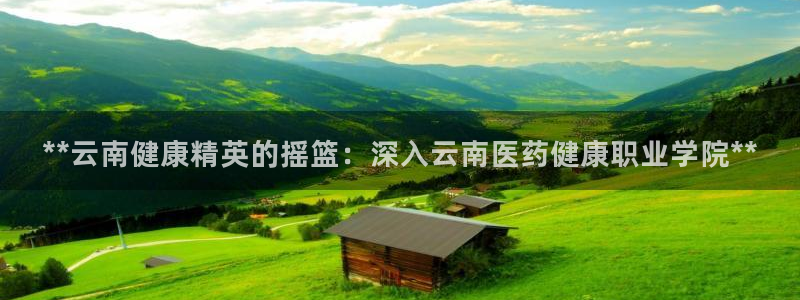 九游会亚洲唯一合作伙伴