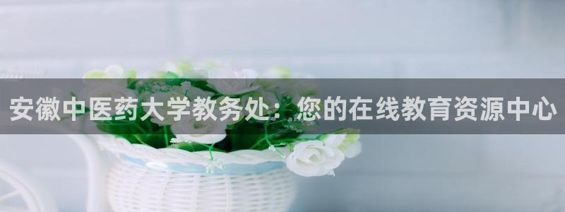 j9九游会怎么样
