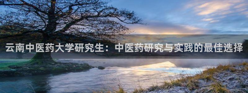 九游会视讯