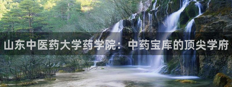 J9九游会九游国际版