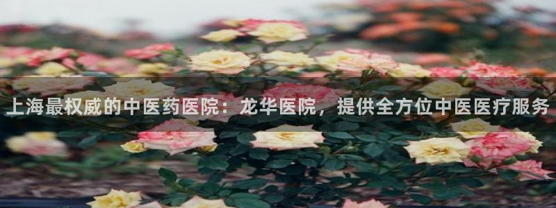 J9九游会老网站