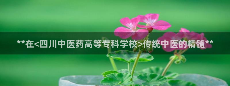 九游会是一个什么网站啊