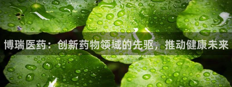 九游j9