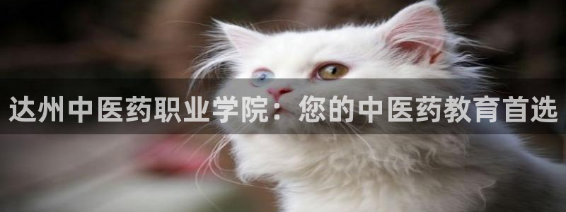 九游会官网地址