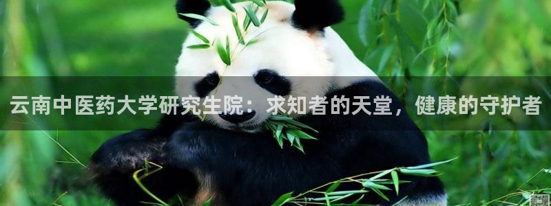 九游会AG登录入口