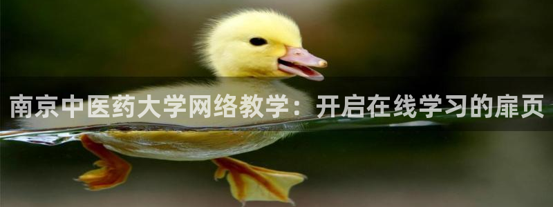 九游会官网进入口