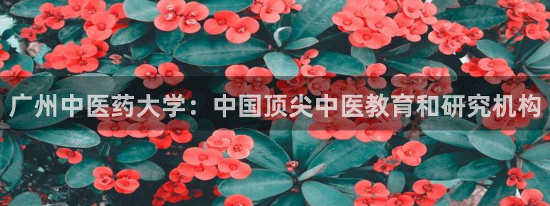 j9九游会ag私享