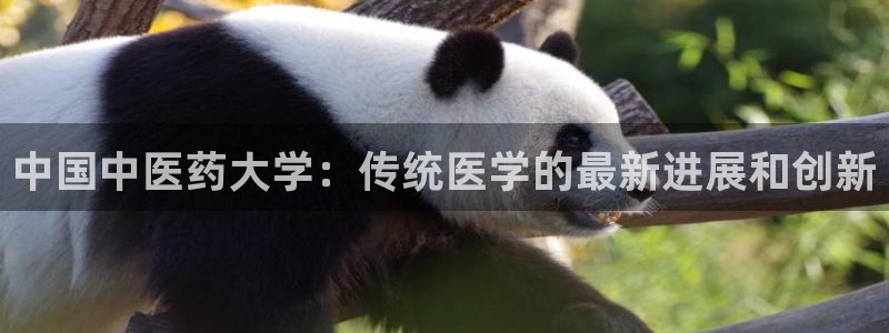九游会AG下载手机端