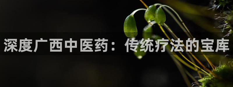 九游会集团官网