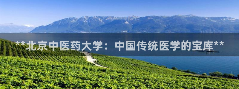 九游会亚洲官网