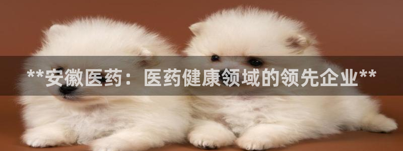 9游会登录地址