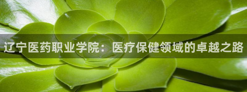 J9九游会网站