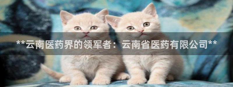 九游J9官方网站