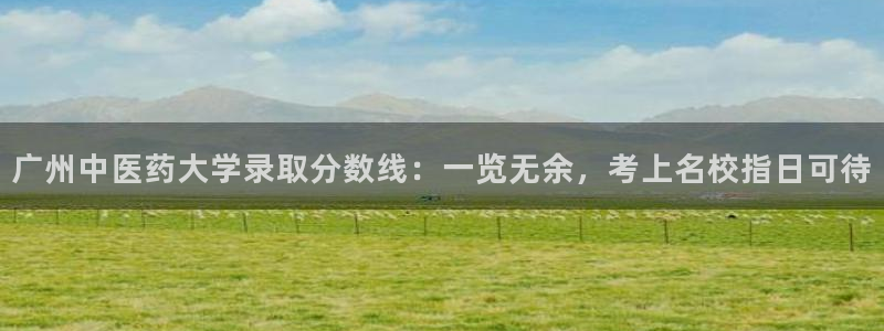 九游会 ag