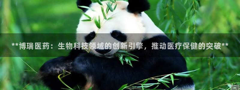 九游会视讯,九游会视讯厅