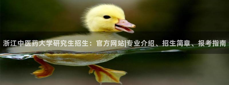 j9九游会最新官网