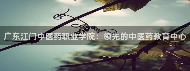 九游会网址大全