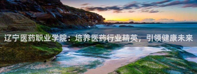 九游会官网网址是多少
