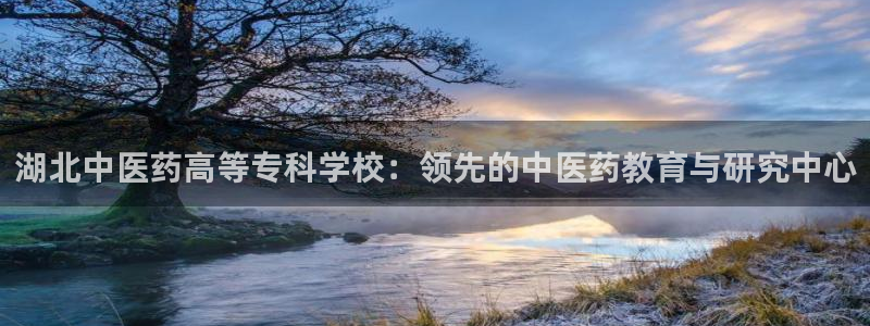 九游会登陆网址