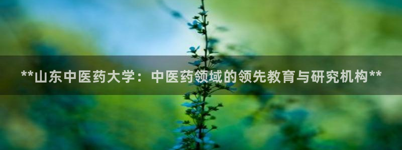 J9九游会国际