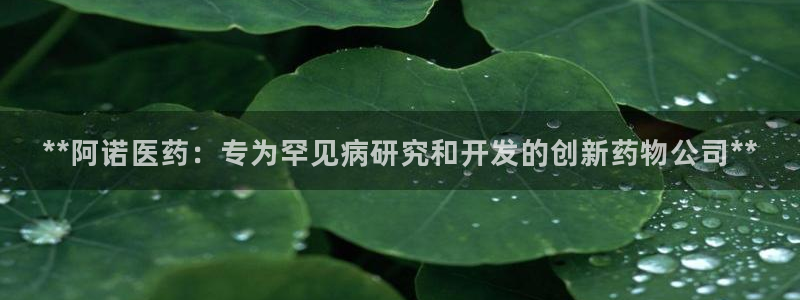 ag8九游会