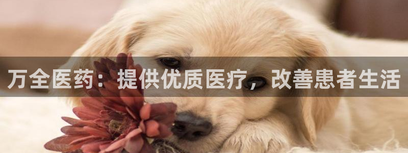 j9官网平台