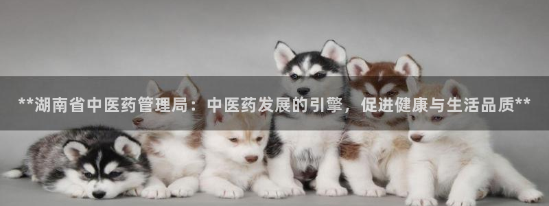 九游会官网网址是多少