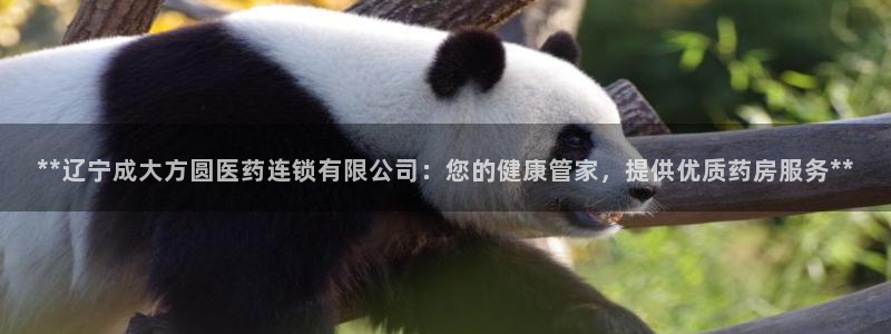 九游j9