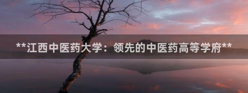 九游会官方app