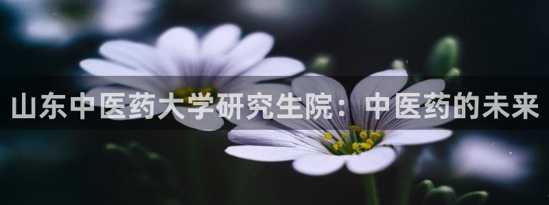 J9九游会旧版