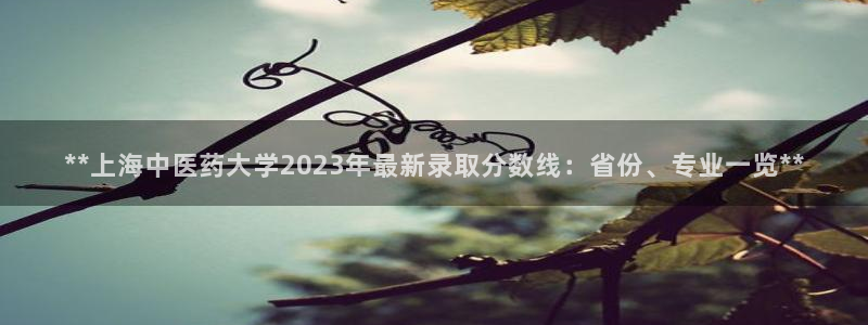 九游会进不去了