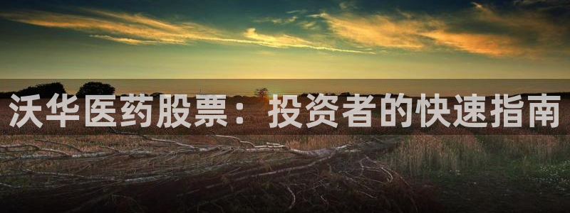 J9九游会登陆旧版