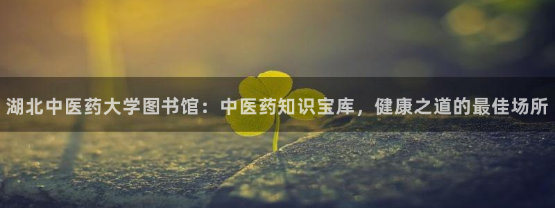 j9九游会导航