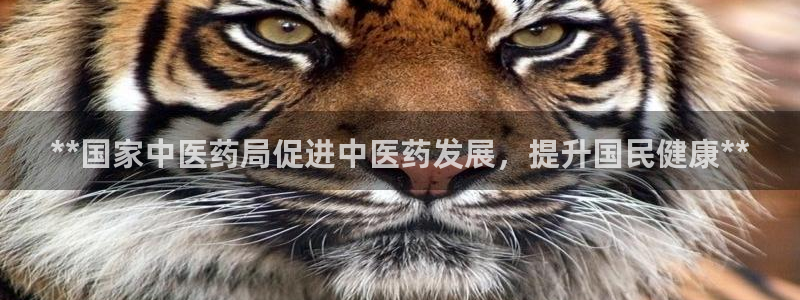 9游会老哥