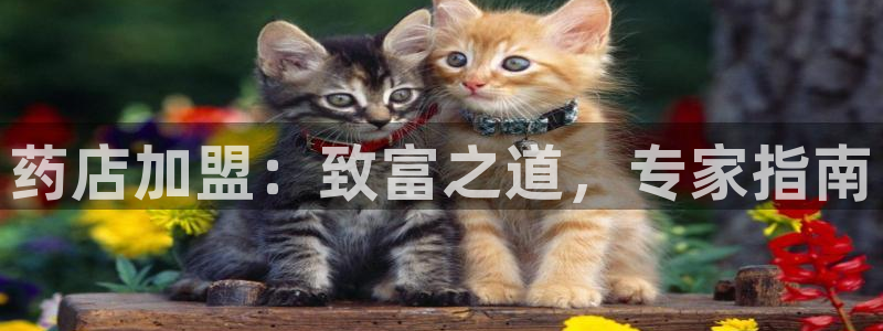九游会员官网真人游戏第一品牌
