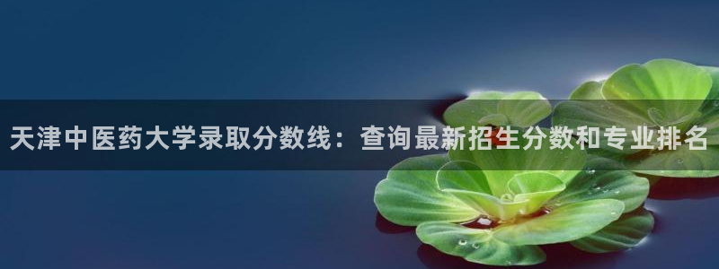 九游会j9官网