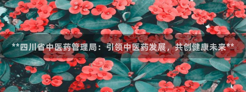 九游会登录网站吗知乎