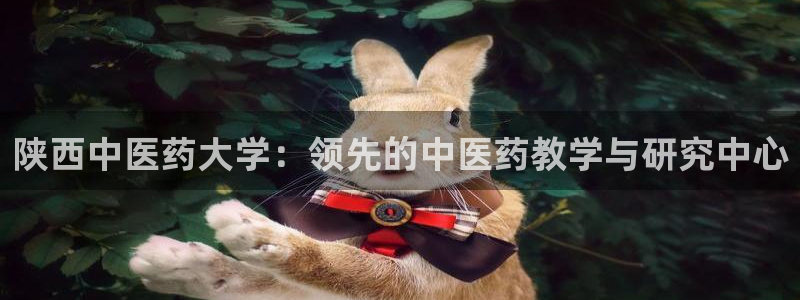 j9九游会怎么样