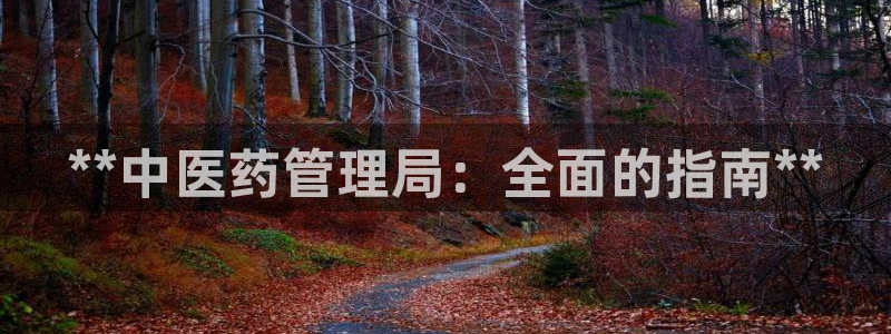 九游会j9