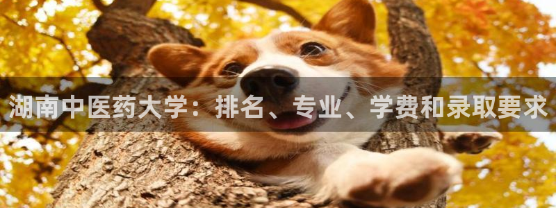 九游会登陆地址