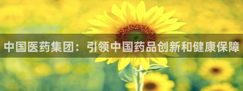 九游会ag亚洲